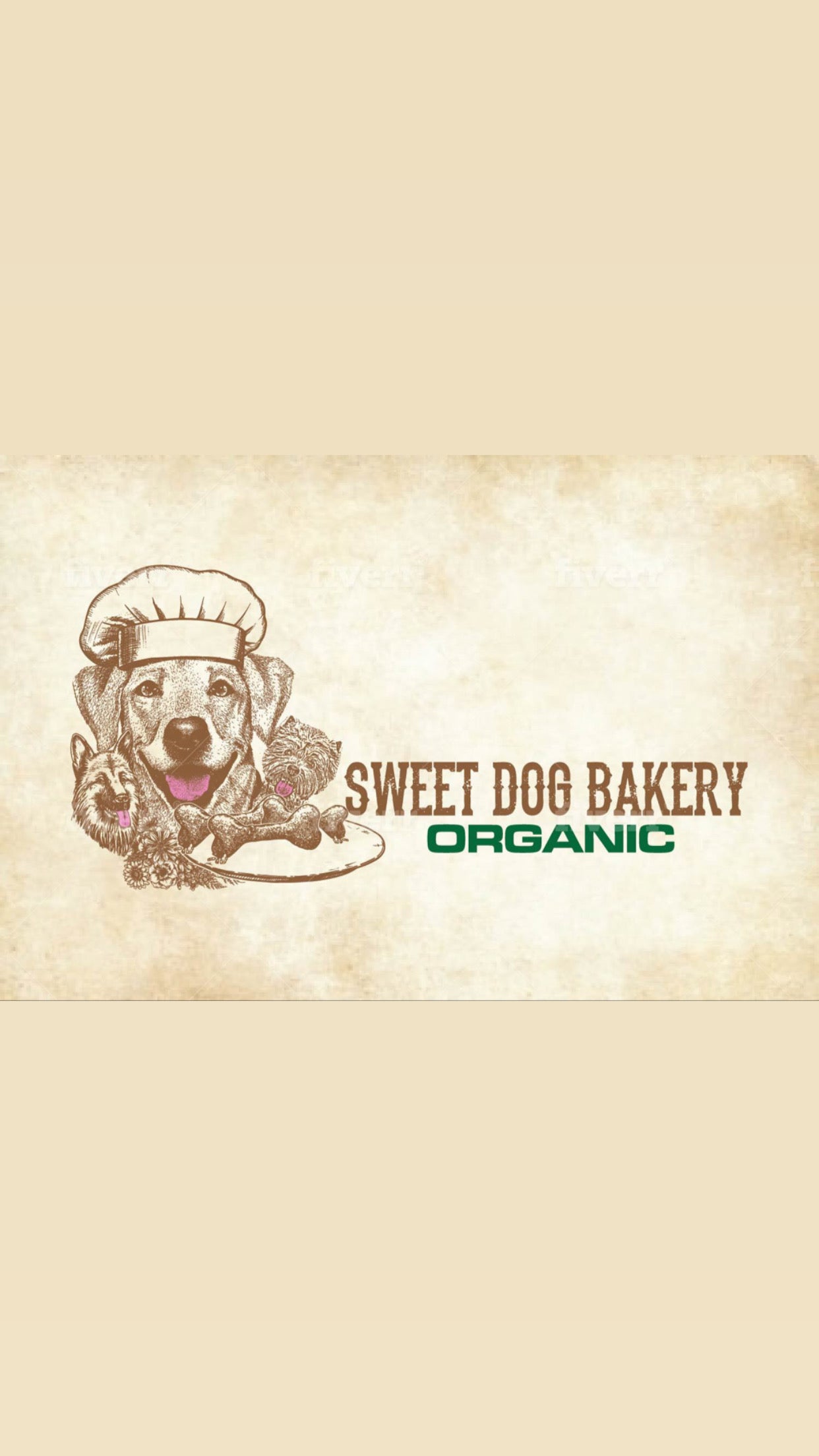 sweetdogbakery